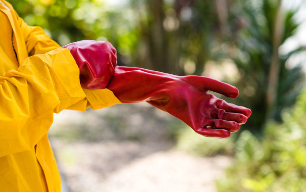 Freight Forwarders Tanzania